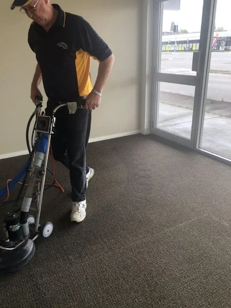 Professional Carpet Cleaning