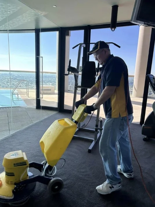 Professional Carpet Cleaning