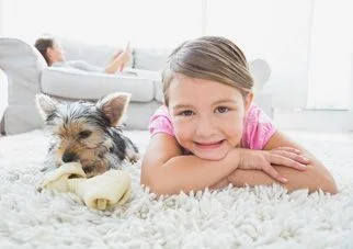 Residential Carpet Cleaning