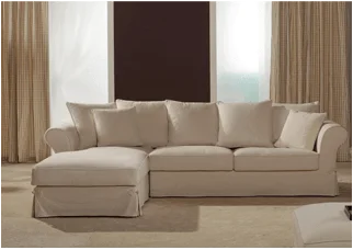 Residential Lounge and Carpet Cleaning